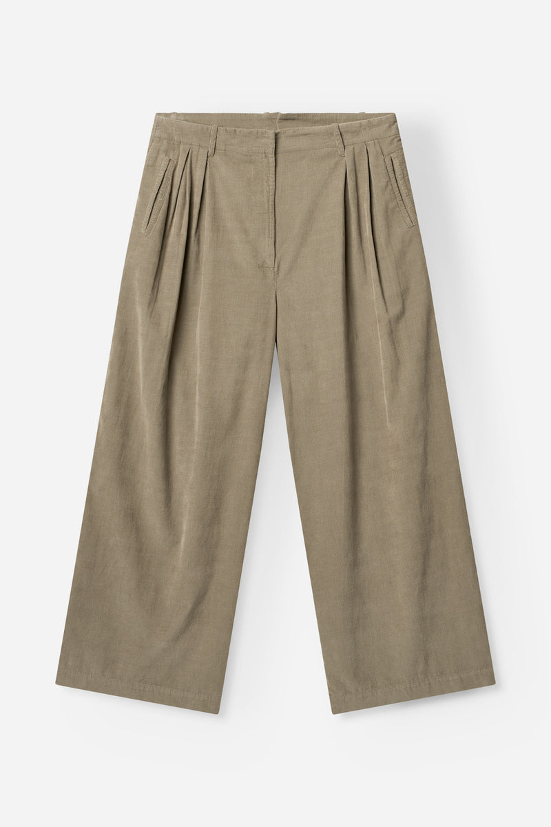 TAILOR 193 ROCK