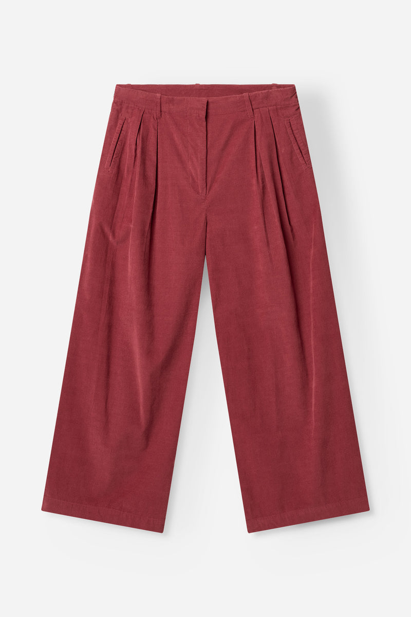 TAILOR 339 BURGUNDY