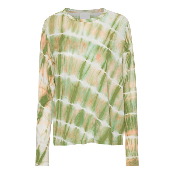 AGNES DK01-231